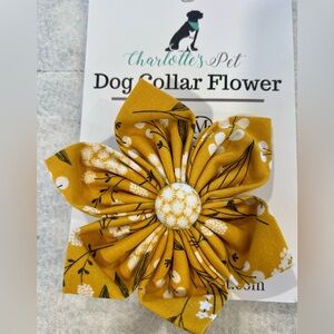 Yellow Floral Dog Collar Flower